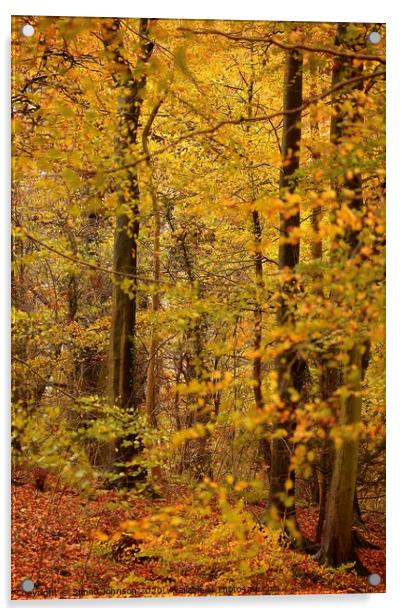 Autumn woodland Acrylic by Simon Johnson