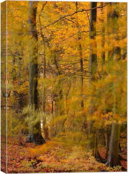Gale in autumn Woodland Canvas Print by Simon Johnson