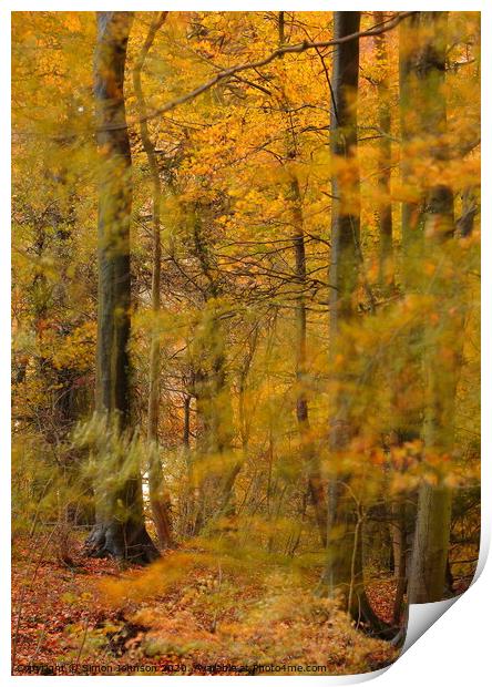 Gale in autumn Woodland Print by Simon Johnson