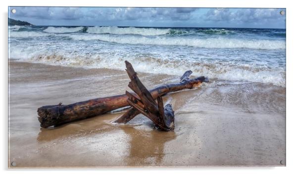 Thai driftwood Acrylic by Mike Hughes