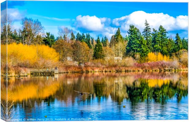 Larsen Lake Reflection Duck Blueberry Farm Park Bellevue Washington Canvas Print by William Perry