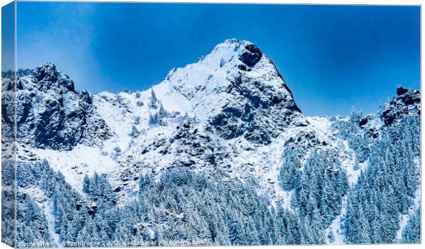 Snow Covered Mount Si Peak Snow North Bend Washington Canvas Print by William Perry
