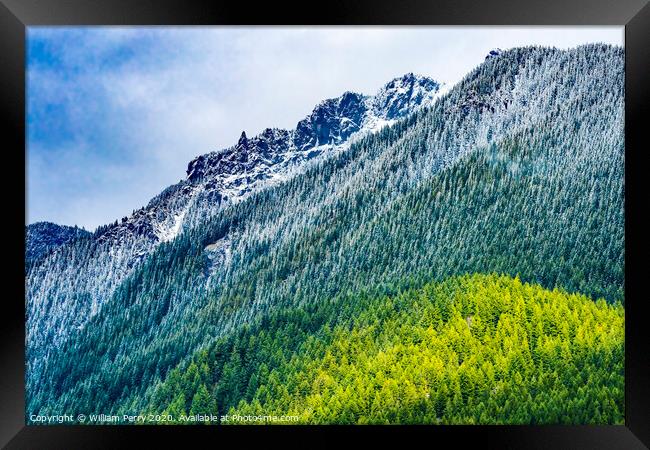 Mount Si Snow Evergreen North Bend Washington Framed Print by William Perry