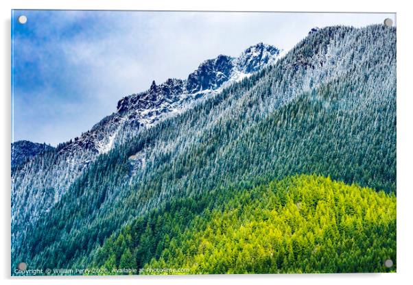 Mount Si Snow Evergreen North Bend Washington Acrylic by William Perry