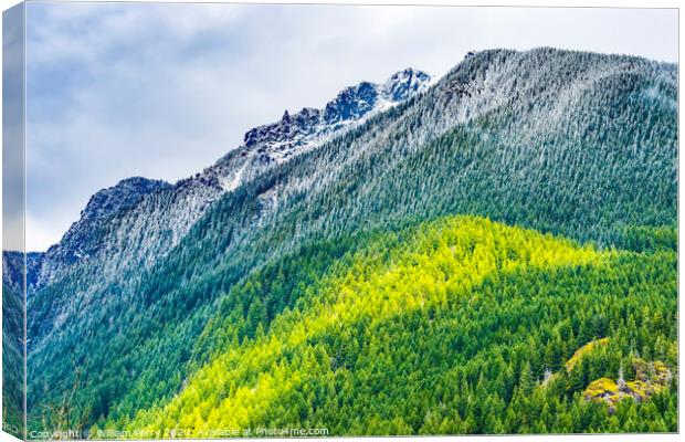 Mount Si Snow Evergreen North Bend Washington Canvas Print by William Perry
