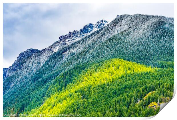 Mount Si Snow Evergreen North Bend Washington Print by William Perry