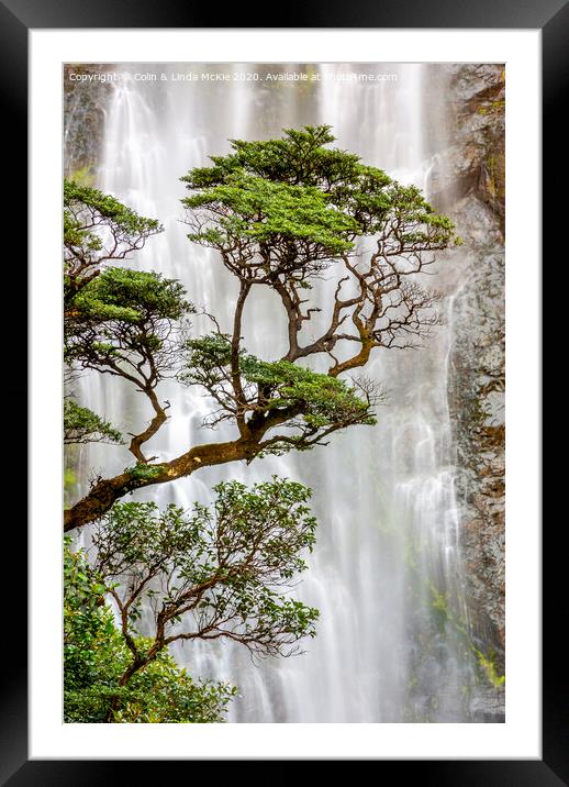 Trees and Waterfall Framed Mounted Print by Colin & Linda McKie