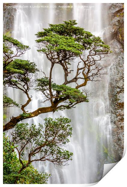 Trees and Waterfall Print by Colin & Linda McKie