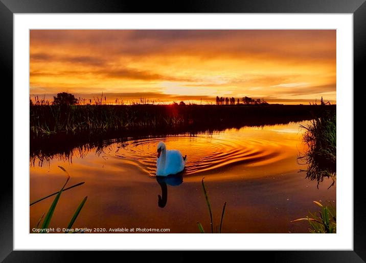 Fen Sunrise Framed Mounted Print by Dave Bradley