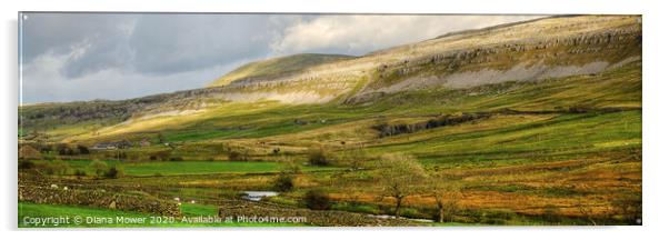 Yorkshire Dales Landscape  Acrylic by Diana Mower