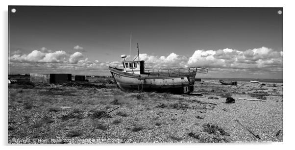 Beached ( Dungeness ) Acrylic by Dave Burden