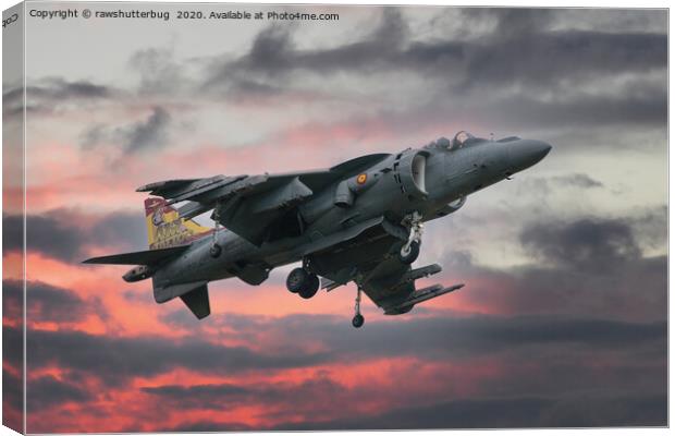 Spanish AV-8B Harrier With Special Tail Canvas Print by rawshutterbug 