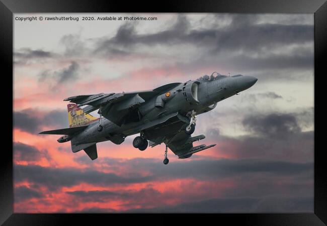 Spanish AV-8B Harrier With Special Tail Framed Print by rawshutterbug 
