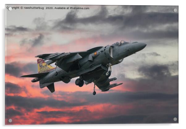 Spanish AV-8B Harrier With Special Tail Acrylic by rawshutterbug 