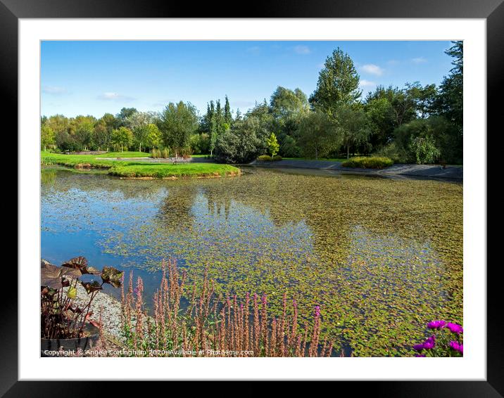View Over the Pond Framed Mounted Print by Angela Cottingham