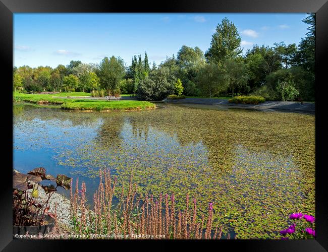 View Over the Pond Framed Print by Angela Cottingham