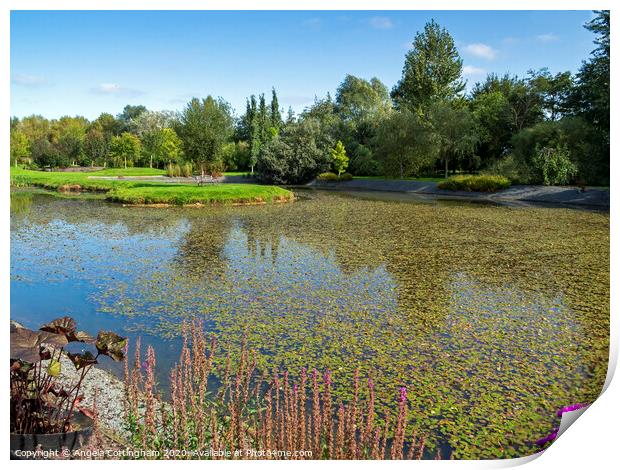 View Over the Pond Print by Angela Cottingham