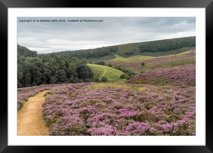 Yorkshire Heather landscape Framed Mounted Print by Jo Sowden