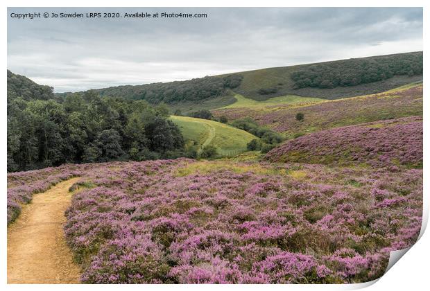 Yorkshire Heather landscape Print by Jo Sowden