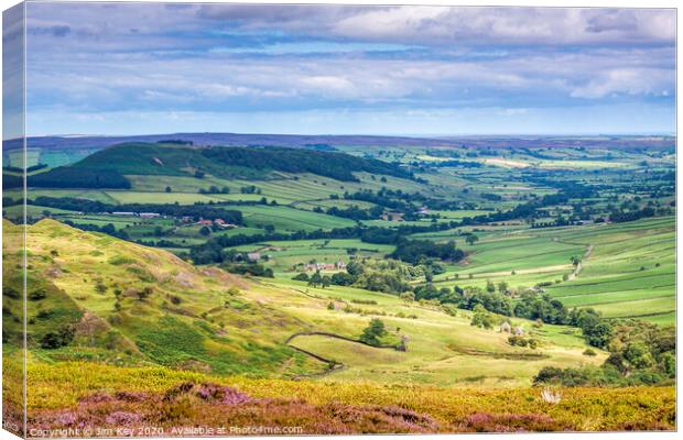 Great Fryup Dale Yorkshire Canvas Print by Jim Key