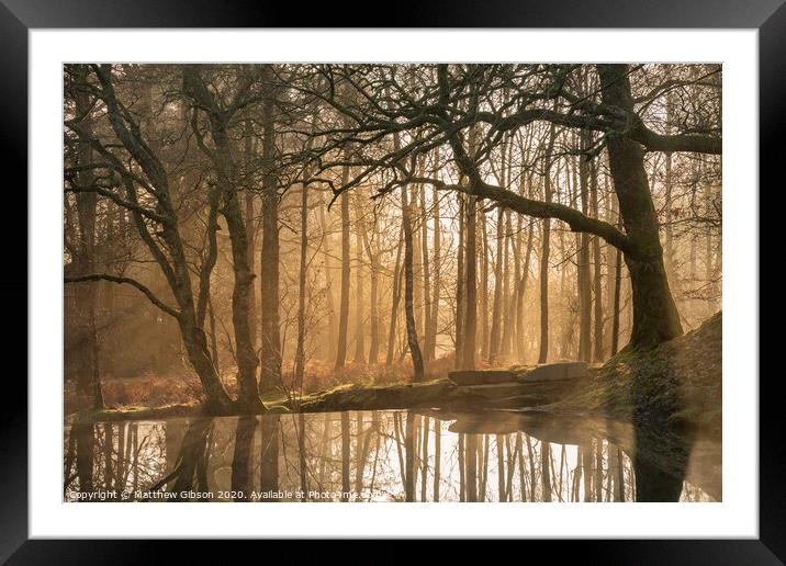 Beautiful landscape image of still stream in forest in the Lake District with hazy sun beams and glow behind the trees reflected in the still water Framed Mounted Print by Matthew Gibson