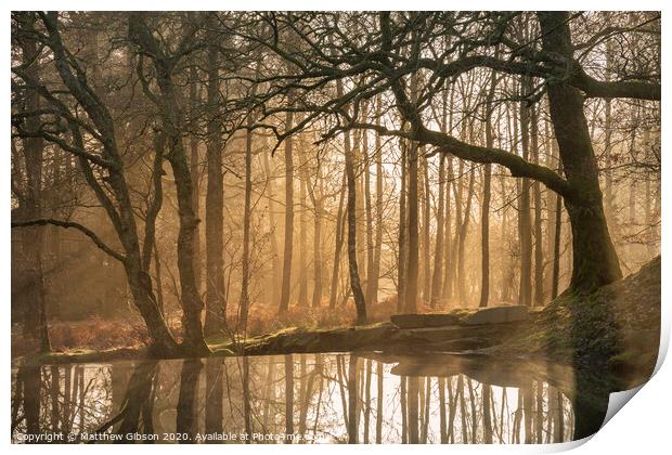 Beautiful landscape image of still stream in forest in the Lake District with hazy sun beams and glow behind the trees reflected in the still water Print by Matthew Gibson