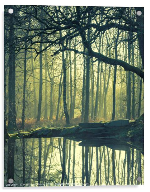 Beautiful landscape image of still stream in forest in the Lake District with hazy sun beams and glow behind the trees reflected in the still water Acrylic by Matthew Gibson