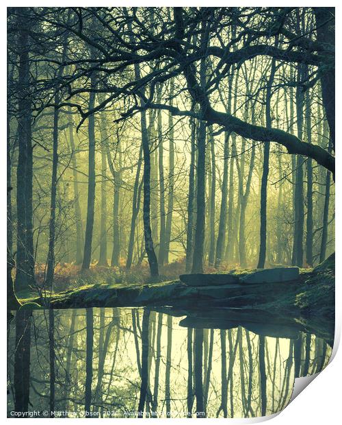 Beautiful landscape image of still stream in forest in the Lake District with hazy sun beams and glow behind the trees reflected in the still water Print by Matthew Gibson