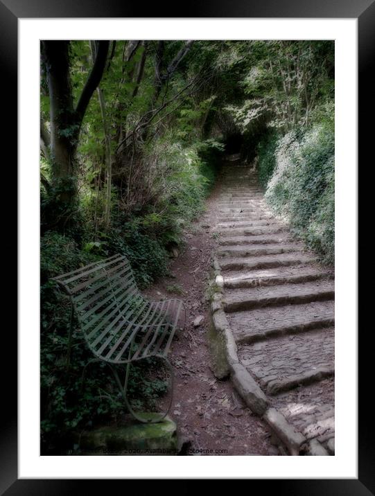 Secluded pathway and bench at Buckfastleigh, Devon, UK. Framed Mounted Print by Peter Bolton
