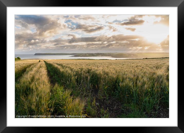 Sunrise over the barley Framed Mounted Print by Kate Whiston