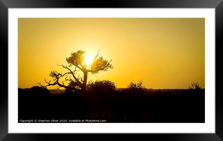 Sun Tree Framed Mounted Print by Stephen Oliver
