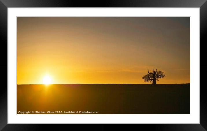 The Lone Tree Framed Mounted Print by Stephen Oliver
