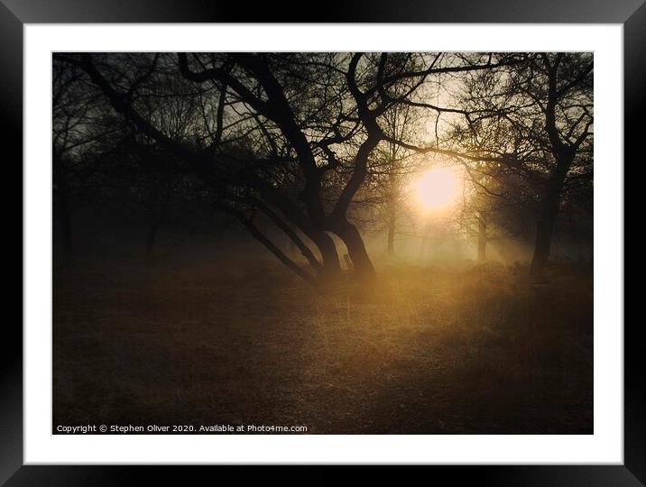 Winter Sun Framed Mounted Print by Stephen Oliver