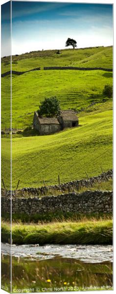 Barn in Deepdale, upper Wharfedale, Yorkshire. Canvas Print by Chris North