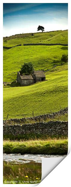 Barn in Deepdale, upper Wharfedale, Yorkshire. Print by Chris North