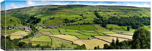 Gunnerside a village in the Yorkshire Dales. Canvas Print by Chris North