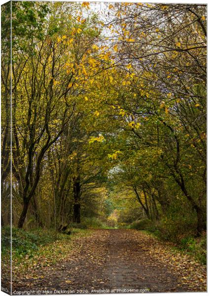 Woodnook Vale Autumn walk Canvas Print by Mike Dickinson