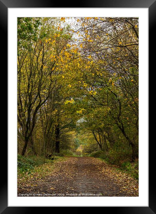 Woodnook Vale Autumn walk Framed Mounted Print by Mike Dickinson