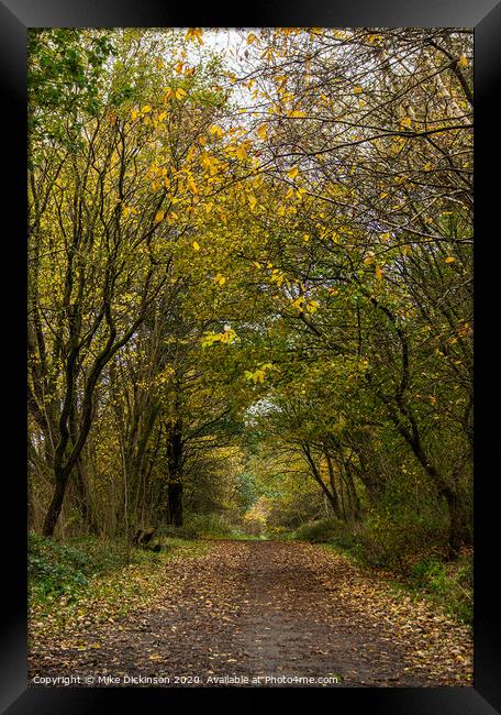 Woodnook Vale Autumn walk Framed Print by Mike Dickinson