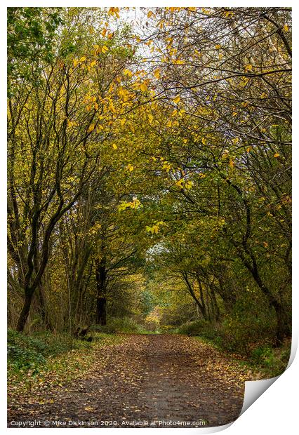 Woodnook Vale Autumn walk Print by Mike Dickinson