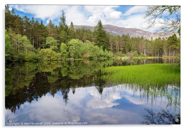 Glencoe Lochan Scotland Acrylic by Pearl Bucknall