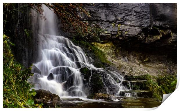 Ingleton Waterfalls Trail Print by Jim Day