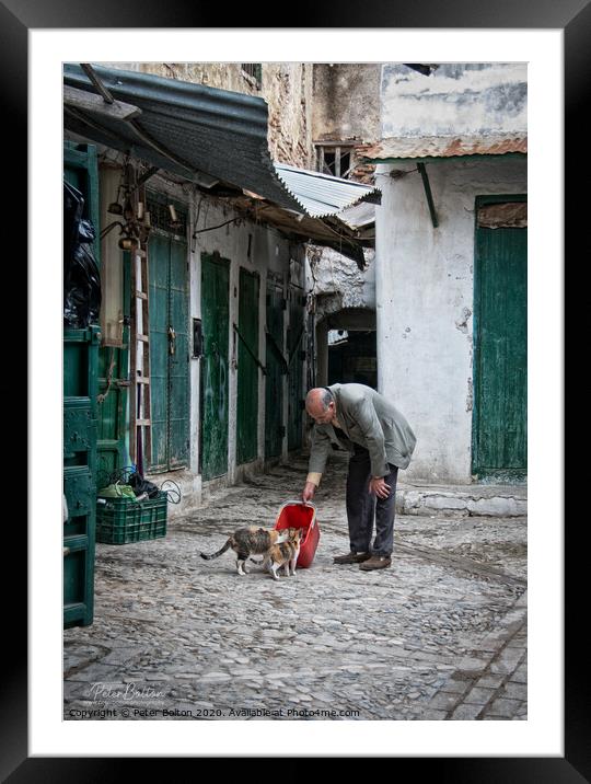 'Cat man of Tetoun'. Morocco. Framed Mounted Print by Peter Bolton