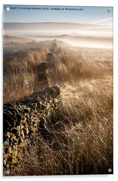 Mist and spider webs on the moors of the Peak Dist Acrylic by Andrew Kearton