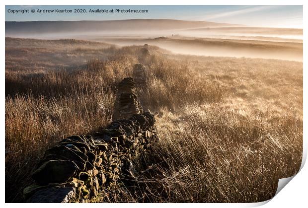 Mist and spider webs on the Pennine moors  Print by Andrew Kearton