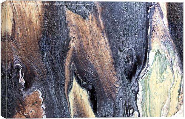 Unusual and mysterious brown, black, green and white marble texture. Polished surface. Canvas Print by Sergii Petruk