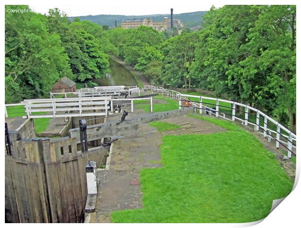 Five-Rise Locks at Bingley, West Yorkshire Print by Laurence Tobin