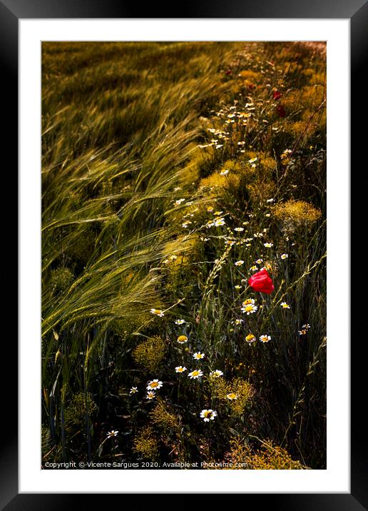 Wild flowers in the field Framed Mounted Print by Vicente Sargues