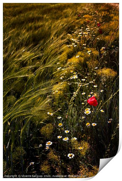 Wild flowers in the field Print by Vicente Sargues