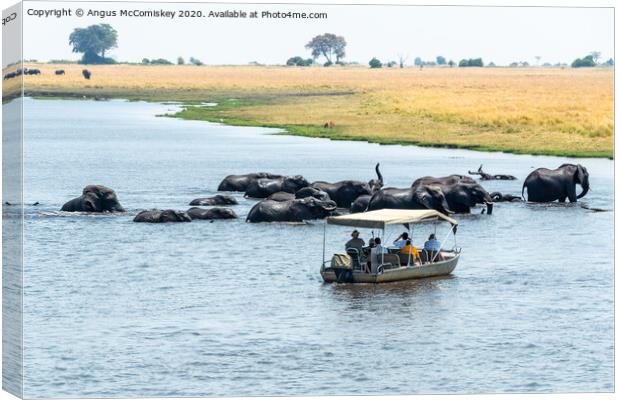 Watching elephants on the Chobe River, Botswana Canvas Print by Angus McComiskey